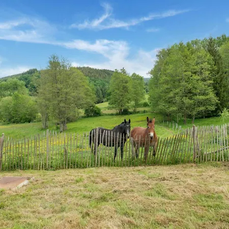 Cozy With Garden, Ennal *