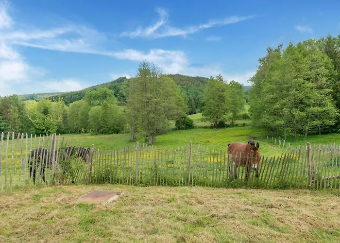 Cozy With Garden, Ennal Vakantiehuis