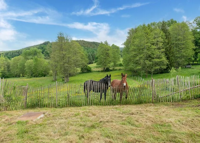 Cozy With Garden, Ennal *