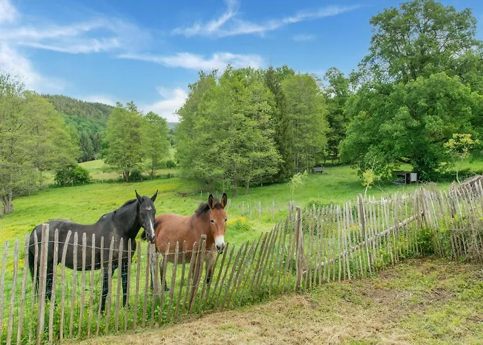 Cozy With Garden, Ennal Vielsalm