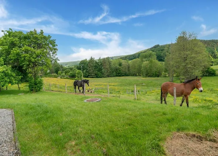 Cozy With Garden, Ennal Vakantiehuis